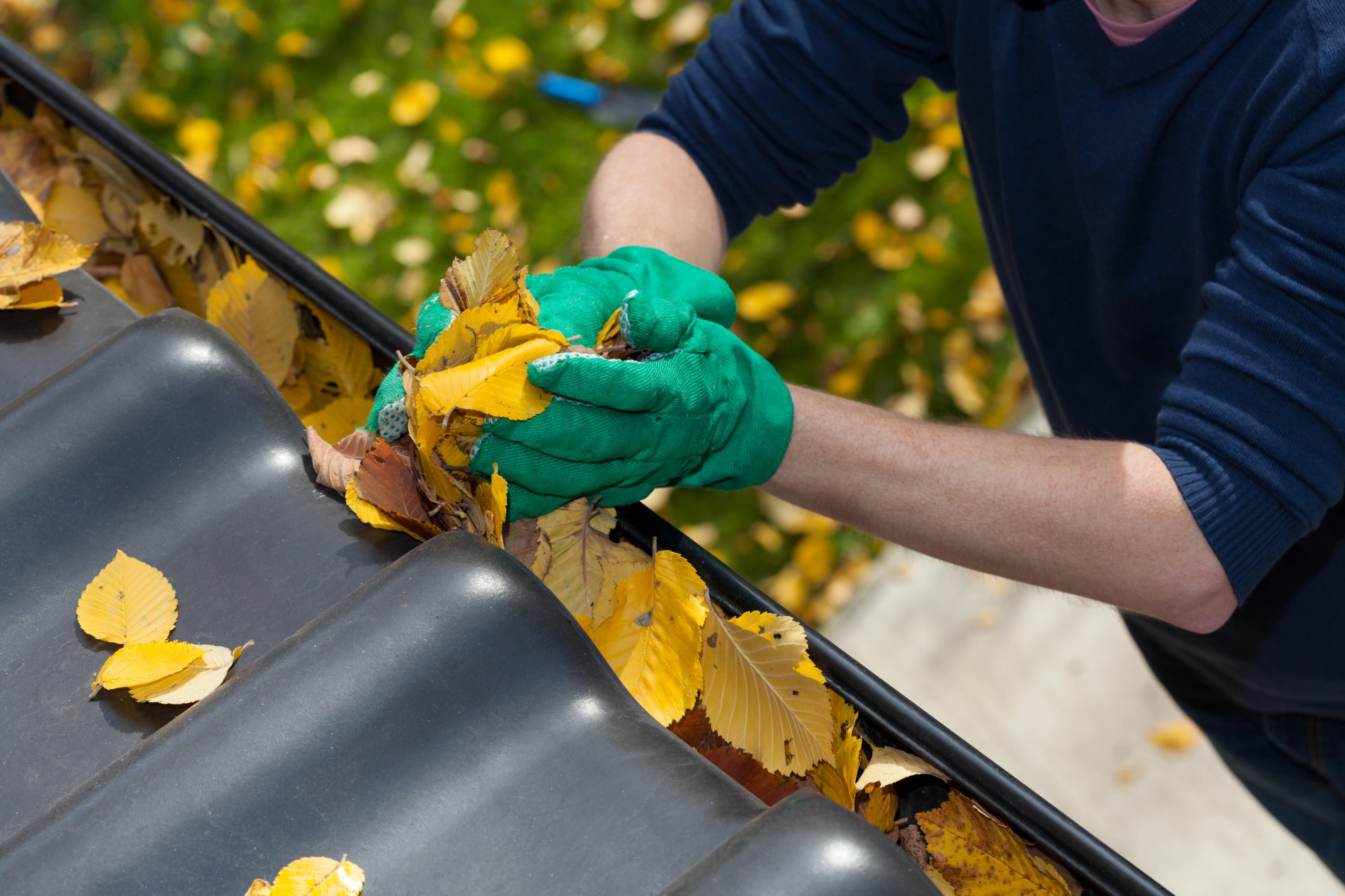 cleaning-the-rain-gutter-during-autumn-horizontal-2025-10-10-08-38-51-utc